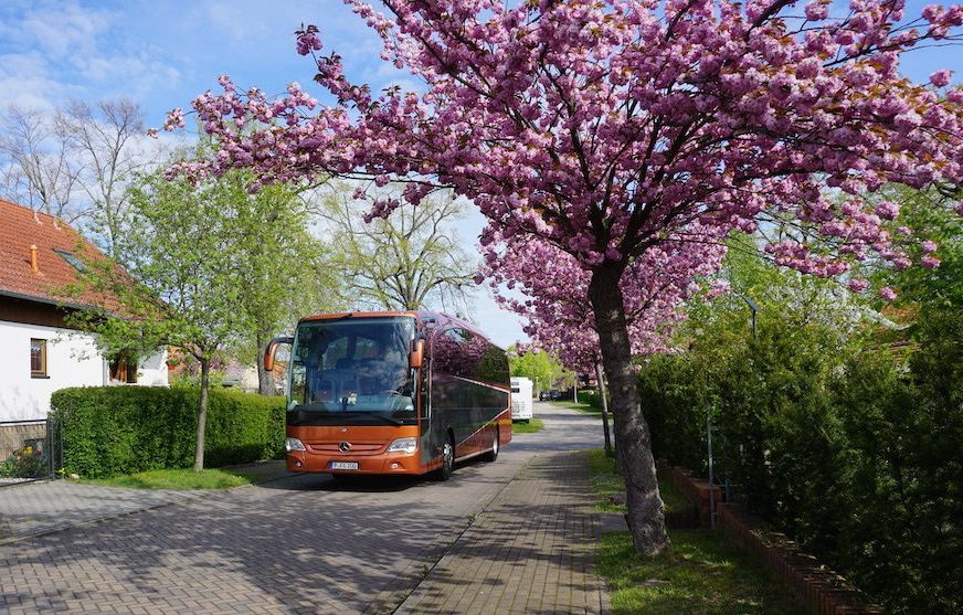 bus company in berlin Brandenburg