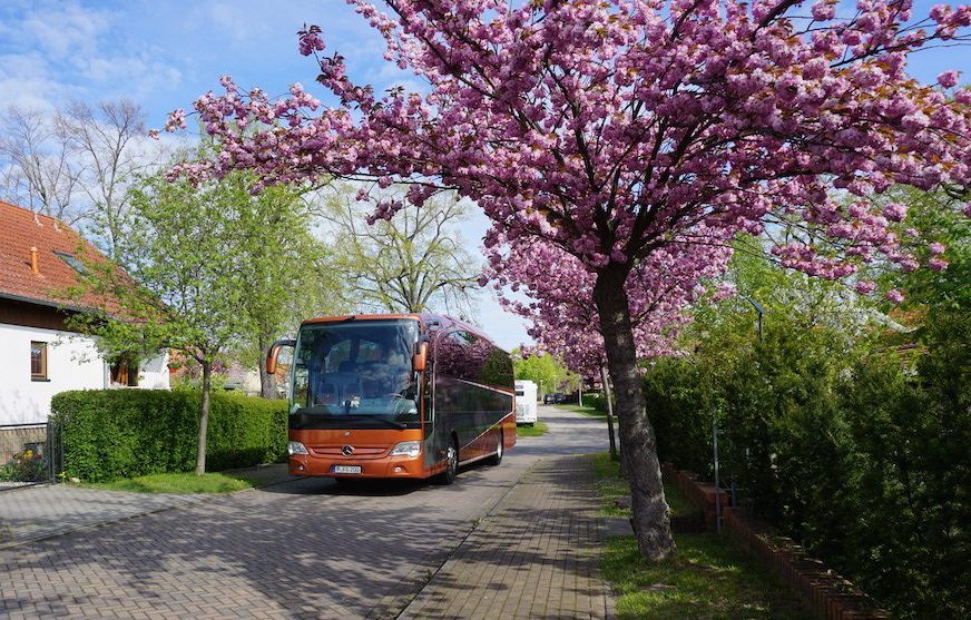 Busvermietung und Busreisen für Potsdam, Berlin und Brandenburg