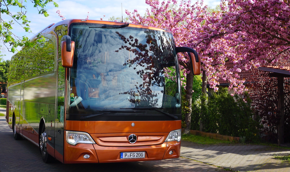 bus company in Berlin brandenburg